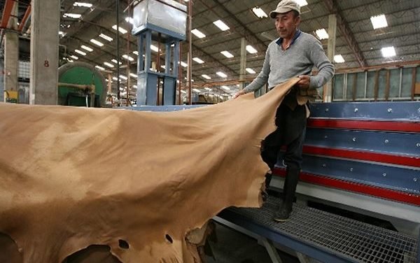 Ciatec desarrolla novedoso sistema para secar el cuero