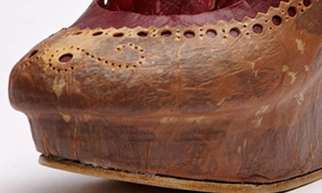 Material alternativo al cuero creado con microbios
