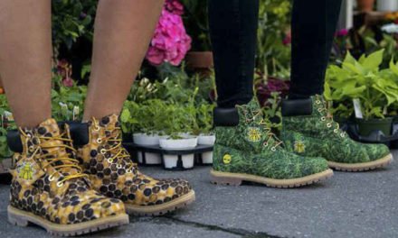 Lanzan botas eco-friendly de Timberland X Pharrell Williams