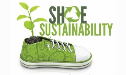 Lanzan guía de sostenibilidad para la industria del calzado