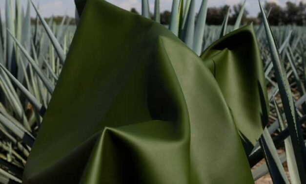 Nuevo biomaterial subproducto del tequila de edición limtada