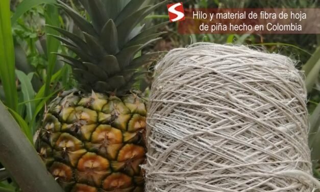 Hilo y material de fibra de hoja de piña hecho en Colombia