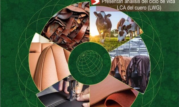 Presentan análisis del ciclo de vida LCA del cuero