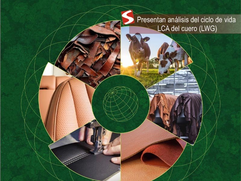 Presentan análisis del ciclo de vida LCA del cuero Presentan análisis del ciclo de vida LCA del cuero