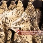 Material sostenible BioFleax llega a la industria moda con H&M y Stella McCartney