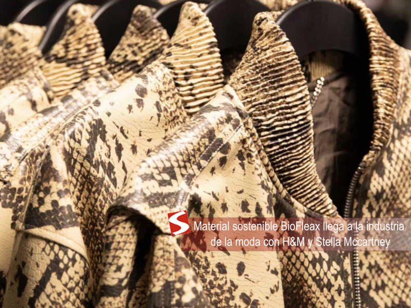Material sostenible BioFleax llega a la industria moda con H&M y Stella Mccartney Material sostenible BioFleax llega a la industria moda con H&M y Stella Mccartney