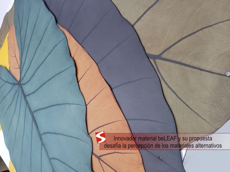 expertos beLeaf_